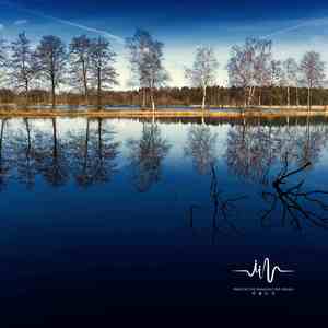 优雅人生 (催眠曲)