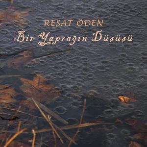 Bir Yaprağın Düşüşü