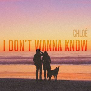 I don't wanna know (acoustic)