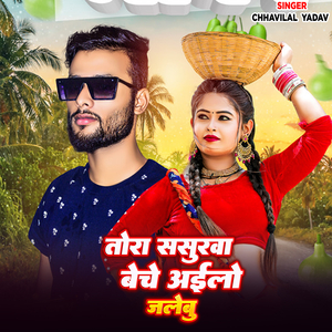 Tor Sasurwa Beche Ailo Jhilli