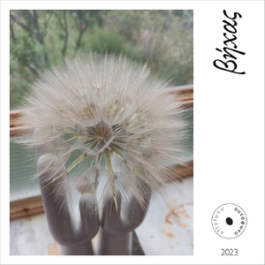 Τιμής Ένεκεν