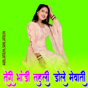 तेरी भांडी तहली डोले मेवाती