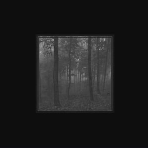 Every Living Thing Dies Cold And Alone