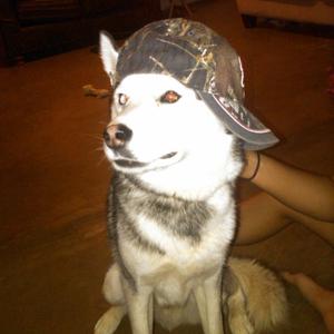 Plug4UU（prod. kirani.)