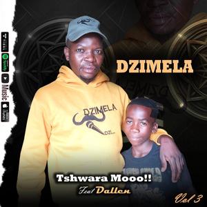 Valoyi Va Ndhawu leyi Remex