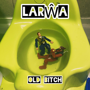 Old B***h