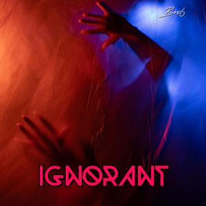 Ignorant (Progressive Edit)
