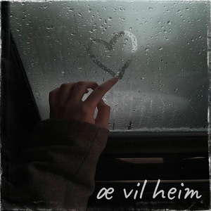 Æ vil heim
