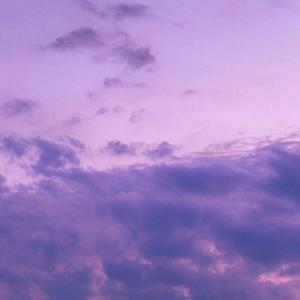 我们站在雨里