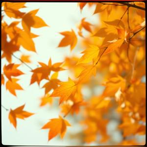 Autumn Breeze (Remastered) (Remix) by Music Shuttle No.999