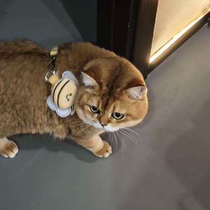 《卧室里的森林幻梦》