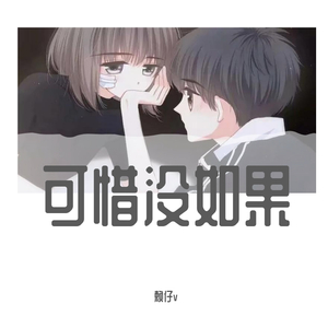 可惜没如果
