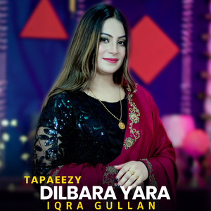 Dilbara Yara Tapaeezy