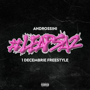 "1 Decembrie" Freestyle (#leapsa2)