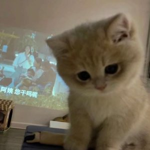 遐想