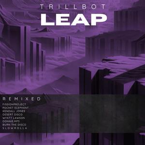 Leap (Desert Disco Remix)