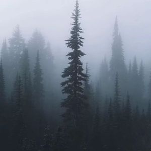 Together（Prod by 4Harry）