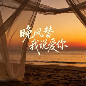 晚风替我说爱你