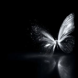 不做你的朋友(2)