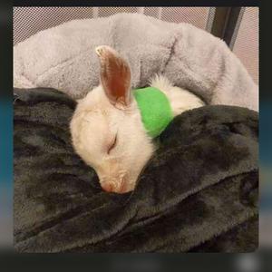 毛不易-无名的人