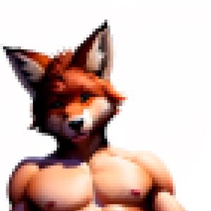zorrito