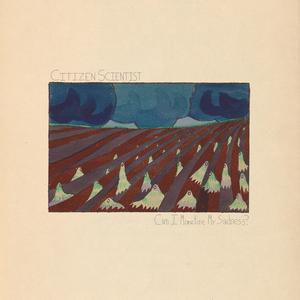 Wintersweet Orphans