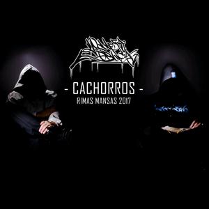 Cachorros