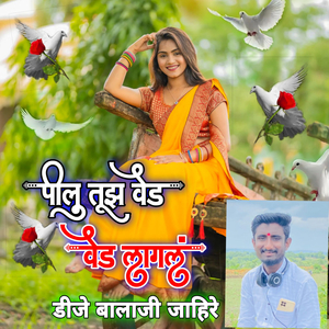 Pillu Tuz Ved Ved Lagal