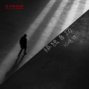 孤独自伤 (DJ乐悦版伴奏)