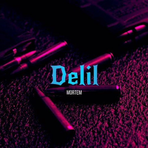 Delil