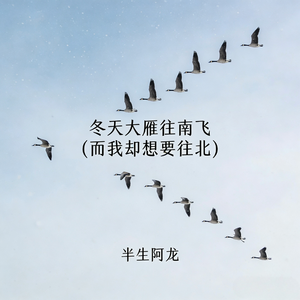 冬天大雁往南飞(而我却想要往北)