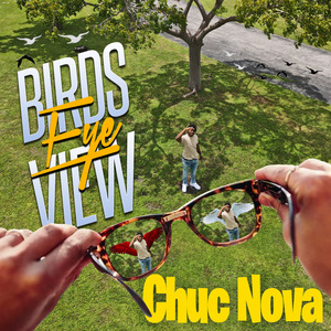 BirdsEyeView