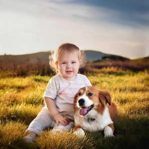 Mascotas Y Melodías Para Bebés