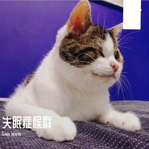 一缕执念（翻自 周深）