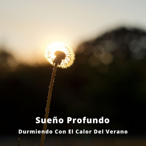 Música Para Mentes Concentradas