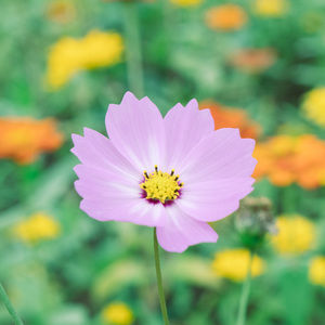 献给宝宝的礼物