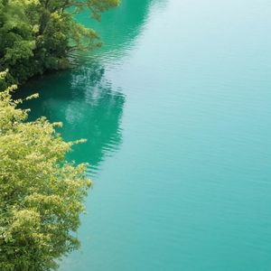 细雨飘零浸心湛