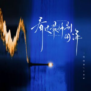 看过最特别的海