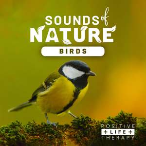 Sleep Hypnosis the Lighthouse