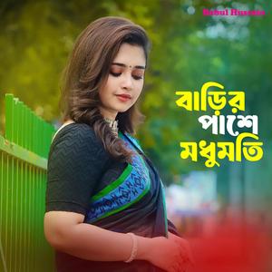 বাড়ির পাশে মধুমতি