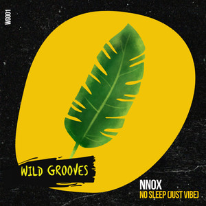 No Sleep (Just Vibe) (Original Mix)