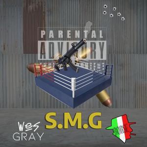 S.M.G. (feat. Borse)