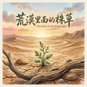 荒漠里面的草