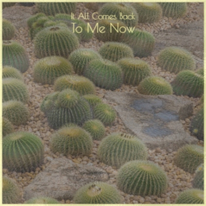 Everybody' Truckin's