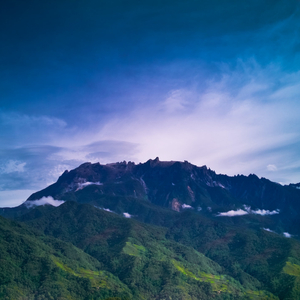 As Long As You Are Happy