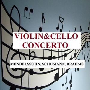 Violin Concerto in E Minor, Op. 64: I. Allegro molto appassionato