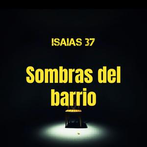 Sombras del barrio