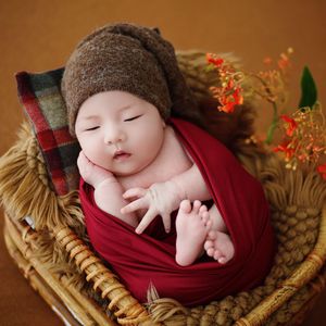 小小动物怎么叫——婴儿手势舞