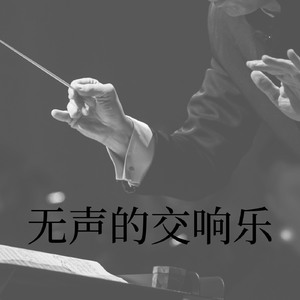 寂静中的交响曲