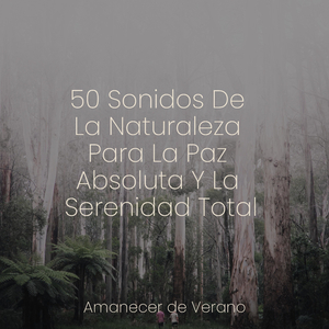 Brilloso Zen